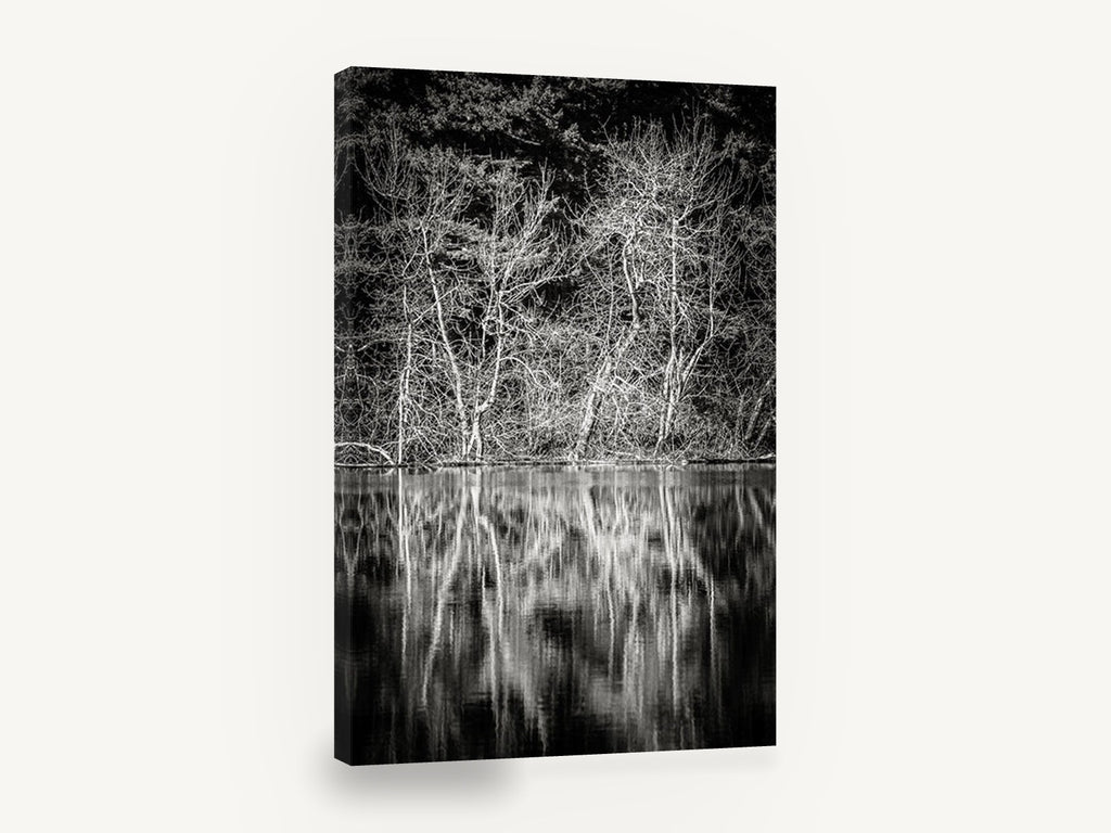 Bare Branches Mirrored, black and white lake reflection photograph, landscape canvas wall art print ready to hang
