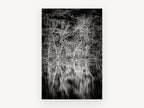 Bare Branches Mirrored, black and white lake reflection photograph, landscape canvas wall art print, front view