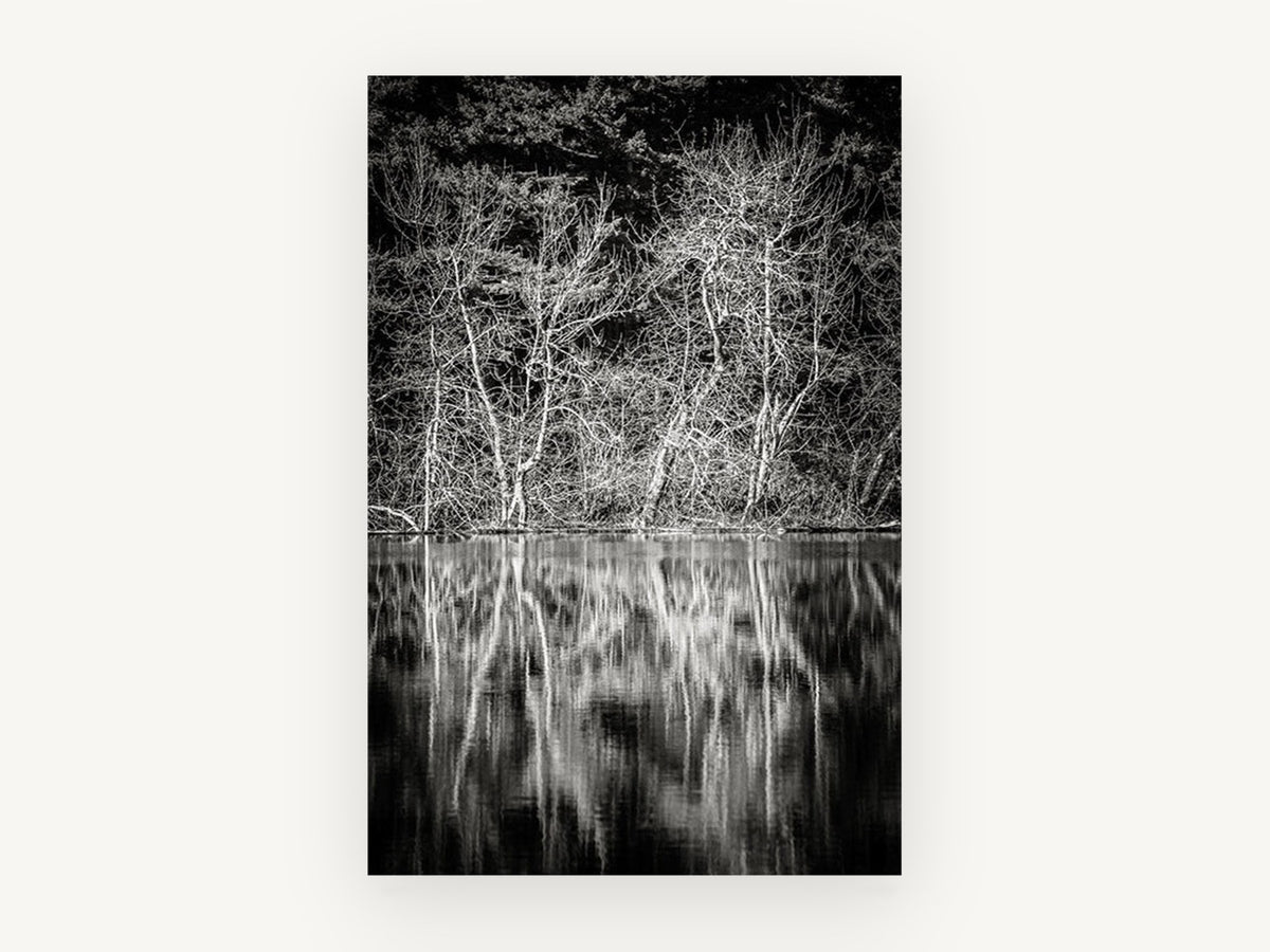 Bare Branches Mirrored, black and white lake reflection photograph, landscape canvas wall art print, front view