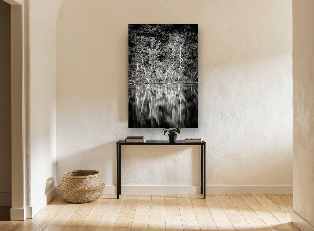 Bare Branches Mirrored landscape canvas print on the wall of a hallway