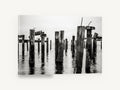 Barnacled Pier Posts, old pier pilings black and white photograph, coastal canvas wall art print ready to hang