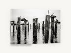 Barnacled Pier Posts, old pier pilings black and white photograph, coastal canvas wall art print ready to hang