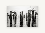 Barnacled Pier Posts, coastal canvas wall art print, front view