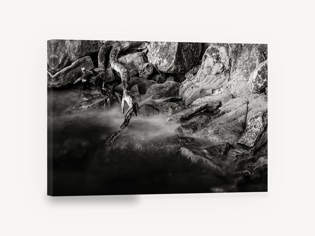 Driftwood and Still Water, black and white rocky shoreline photograph, landscape canvas wall art print ready to hang