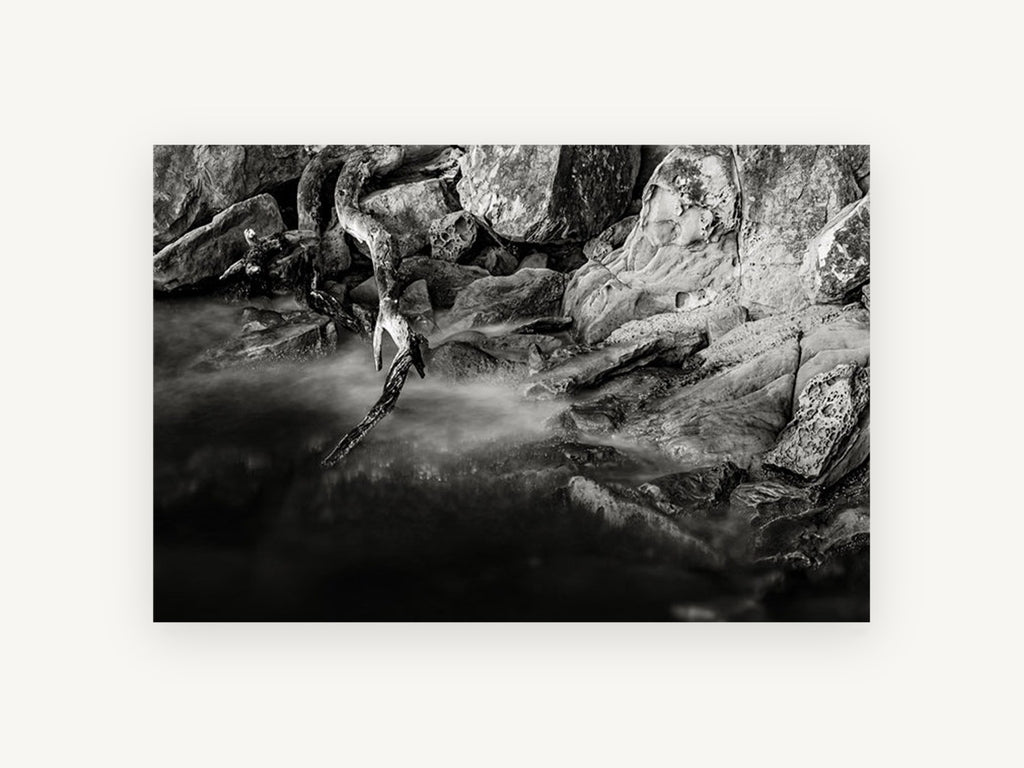 Driftwood and Still Water, black and white rocky shoreline photograph, landscape canvas wall art print, front view