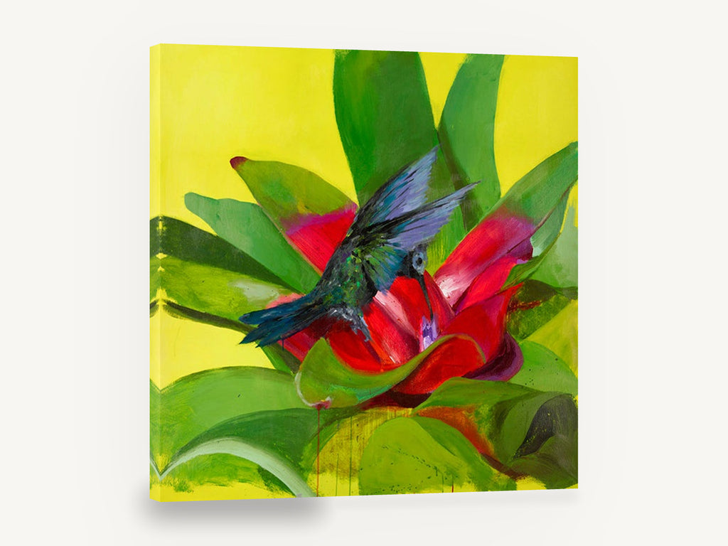 Hummingbird at Red Bromeliad, hummingbird red bromeliad bold painting, floral canvas wall art print ready to hang