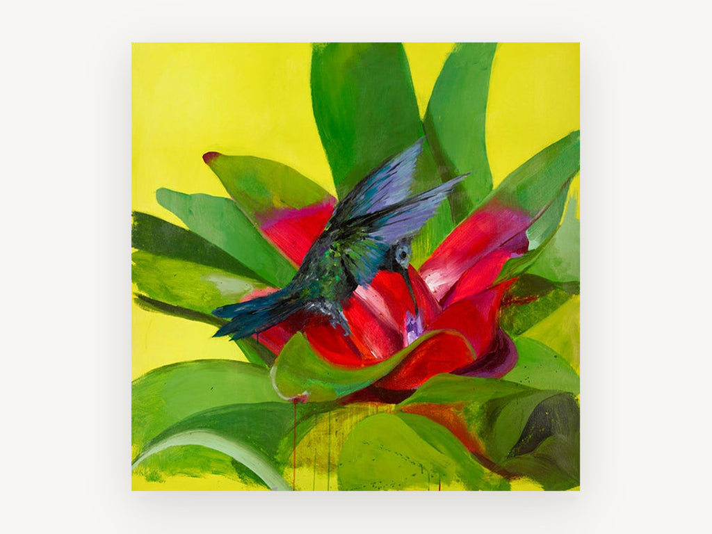 Hummingbird at Red Bromeliad, floral canvas wall art print, front view
