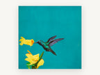Hummingbird on Teal, floral canvas wall art print, front view