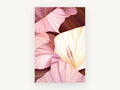 Blush Gladioli Close-Up, floral canvas wall art print, front view