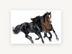 Two Horses Galloping, black and bay horses galloping painting, animal canvas wall art print, front view