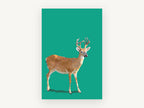 Faceted Buck on Green, low poly deer digital illustration, animal canvas wall art print, front view