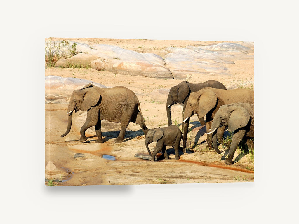 Elephant Family Crossing, african elephant family photograph, animal canvas wall art print ready to hang