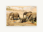 Elephant Family Crossing, african elephant family photograph, animal canvas wall art print, front view