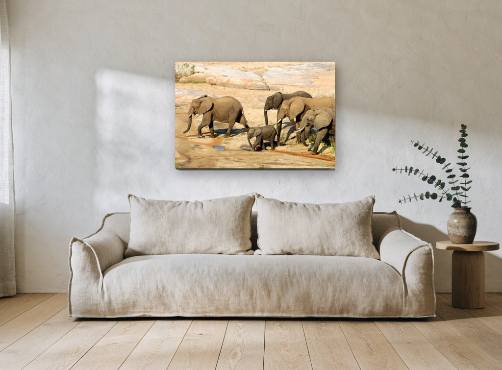 Elephant Family Crossing animal canvas print on the wall of a living room