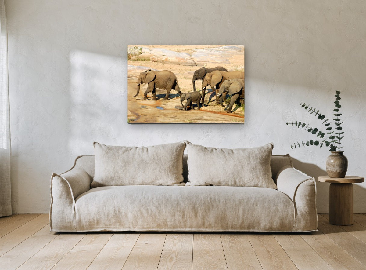 Elephant Family Crossing animal canvas print on the wall of a living room