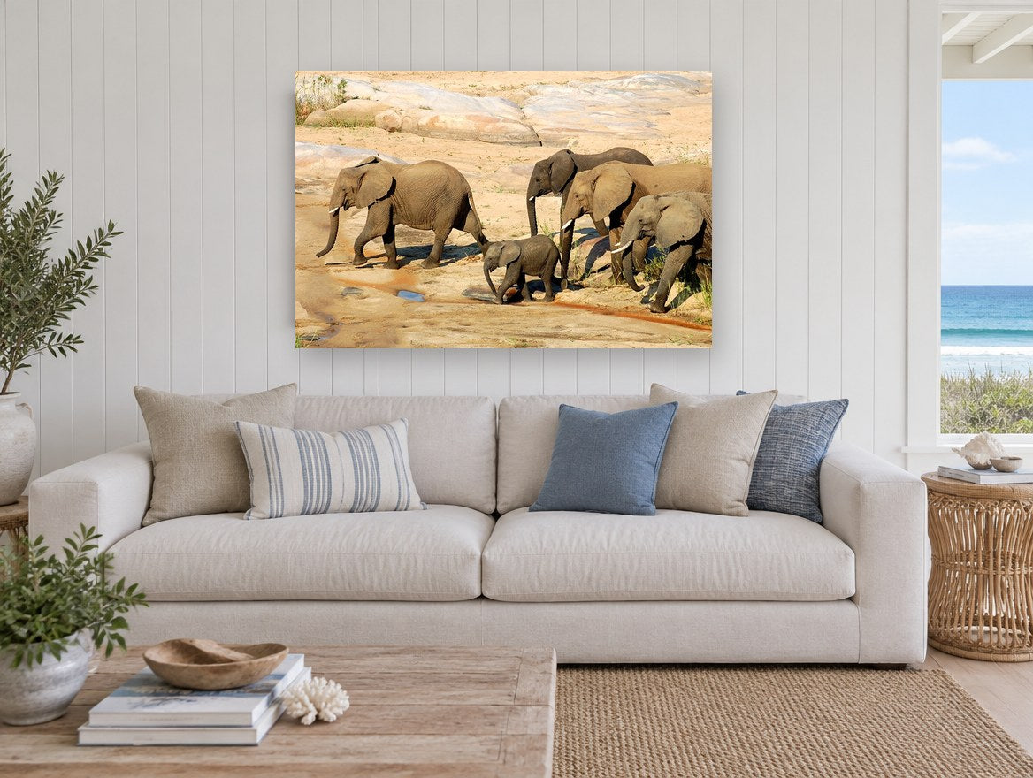 Elephant Family Crossing animal canvas print on the wall of a beach house living room