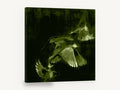Green Wings in Flight, birds in flight green illustration, animal canvas wall art print ready to hang