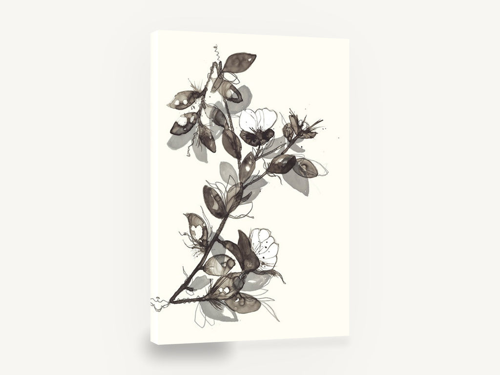 Ink Wash Blossom Branch, ink wash blossom branch botanical, floral canvas wall art print ready to hang