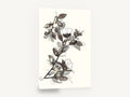 Ink Wash Blossom Branch, ink wash blossom branch botanical, floral canvas wall art print ready to hang