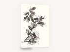 Ink Wash Blossom Branch, ink wash blossom branch botanical, floral canvas wall art print ready to hang
