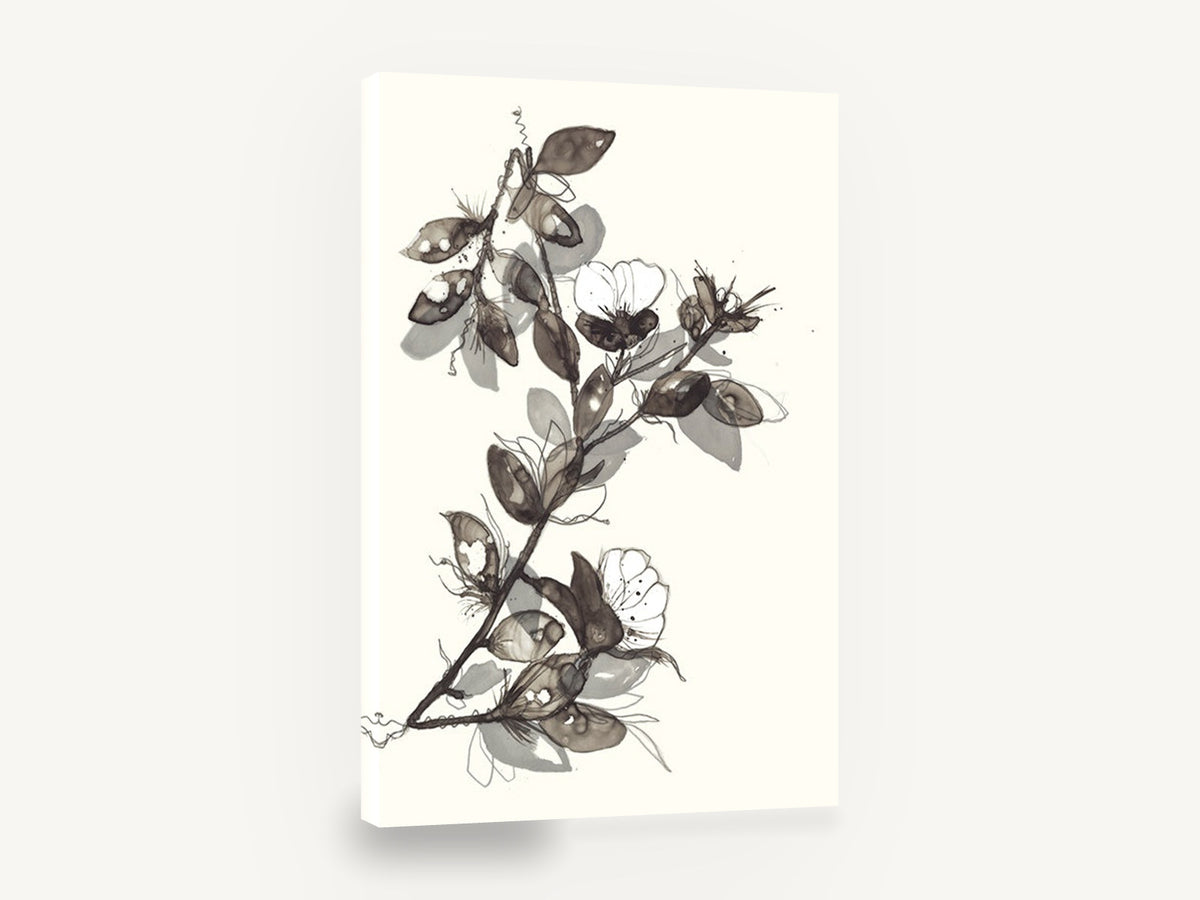 Ink Wash Blossom Branch, ink wash blossom branch botanical, floral canvas wall art print ready to hang