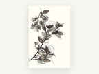 Ink Wash Blossom Branch, floral canvas wall art print, front view