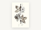 Ink Wash Passionflower Vine, floral canvas wall art print, front view