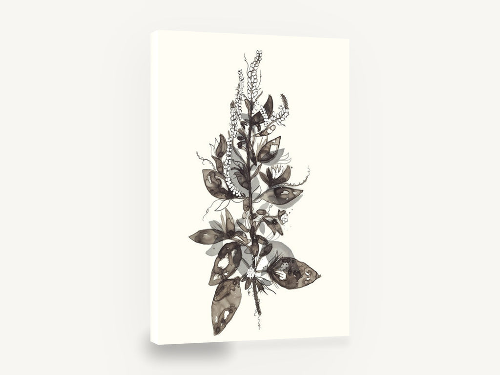 Ink Wash Botanical Spray, sepia ink wash botanical stem, floral canvas wall art print ready to hang