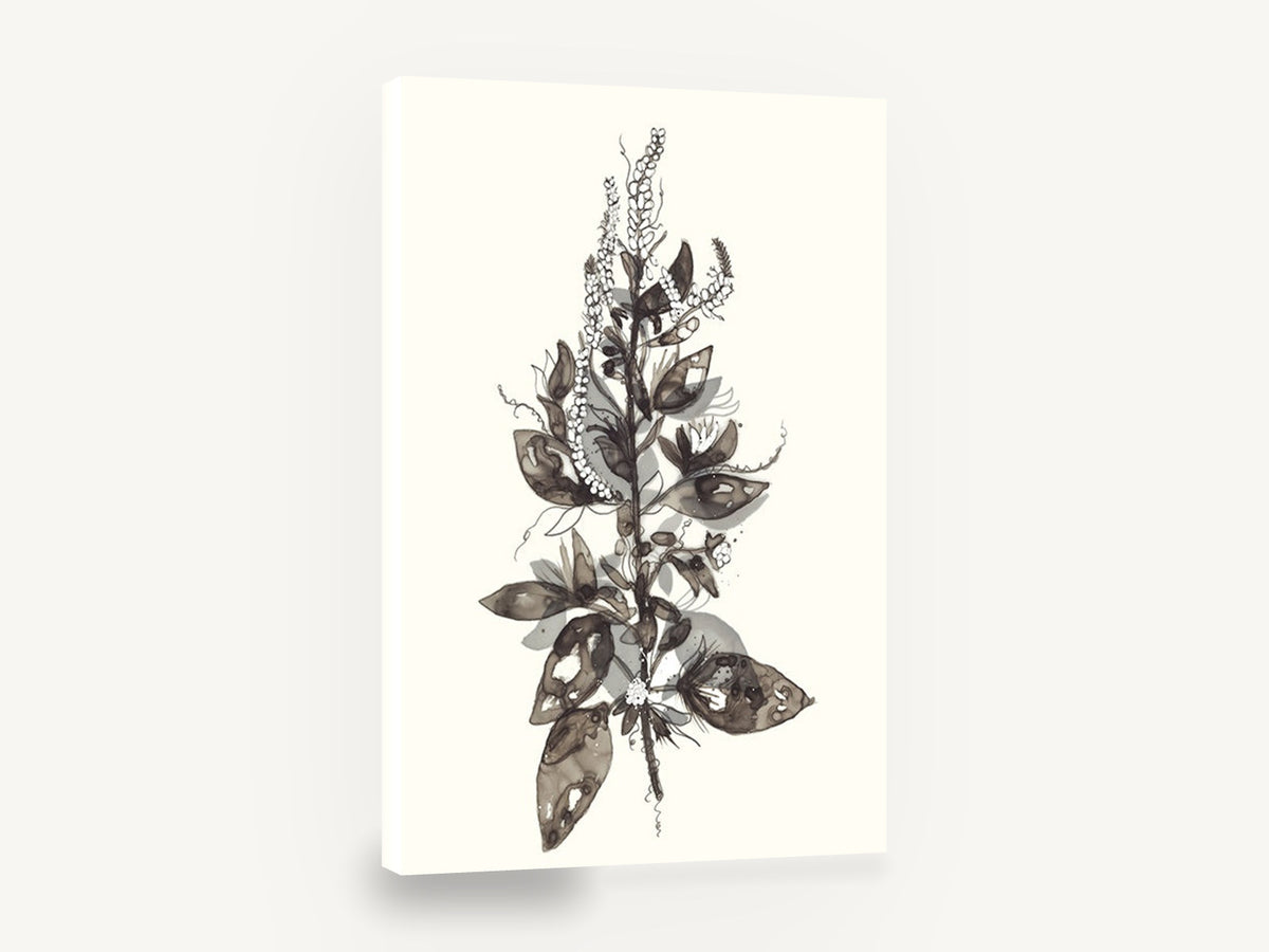 Ink Wash Botanical Spray, sepia ink wash botanical stem, floral canvas wall art print ready to hang