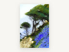 Bluebell Cliffside, floral canvas wall art print, front view
