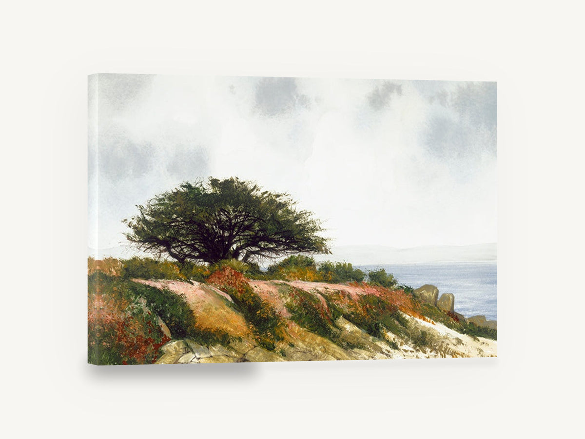 Windswept Cypress Headland, coastal cypress tree headland painting, coastal canvas wall art print ready to hang