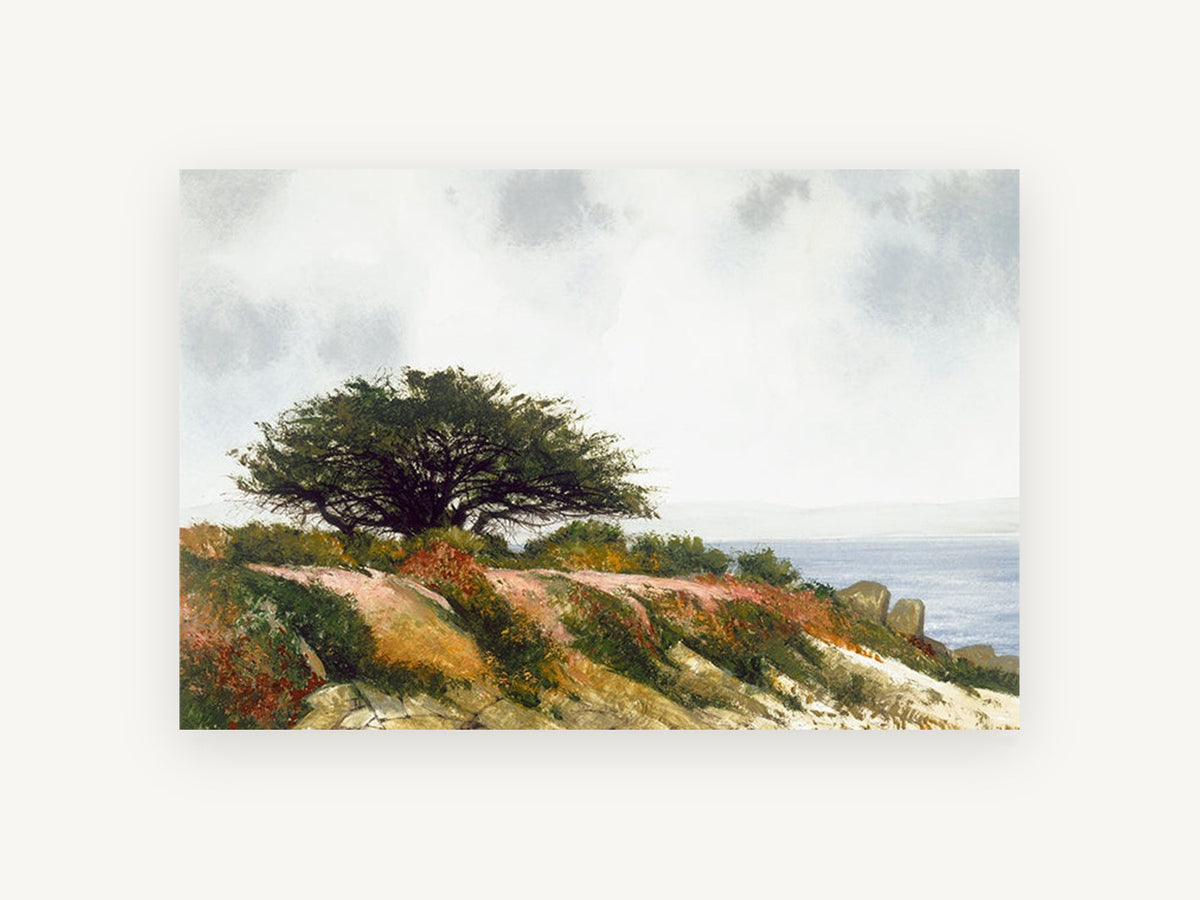 Windswept Cypress Headland, coastal canvas wall art print, front view