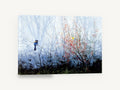Blue Bird in Mist, blue bird misty forest artwork, landscape canvas wall art print ready to hang