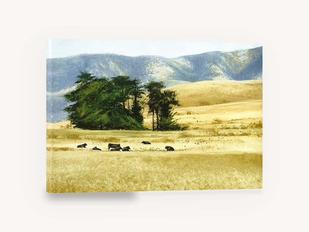 Cattle Rest Golden Hills, black cattle golden pasture landscape, landscape canvas wall art print ready to hang