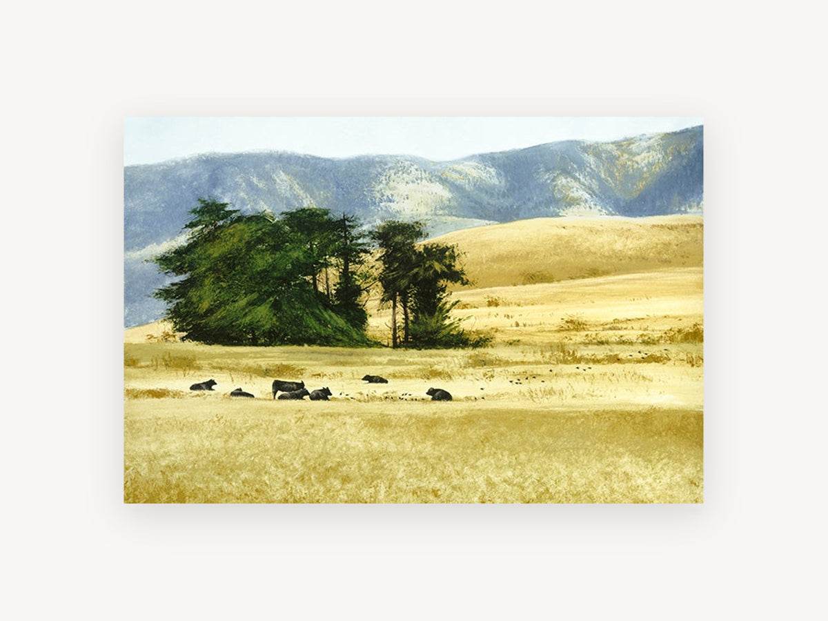 Cattle Rest Golden Hills, black cattle golden pasture landscape, landscape canvas wall art print, front view
