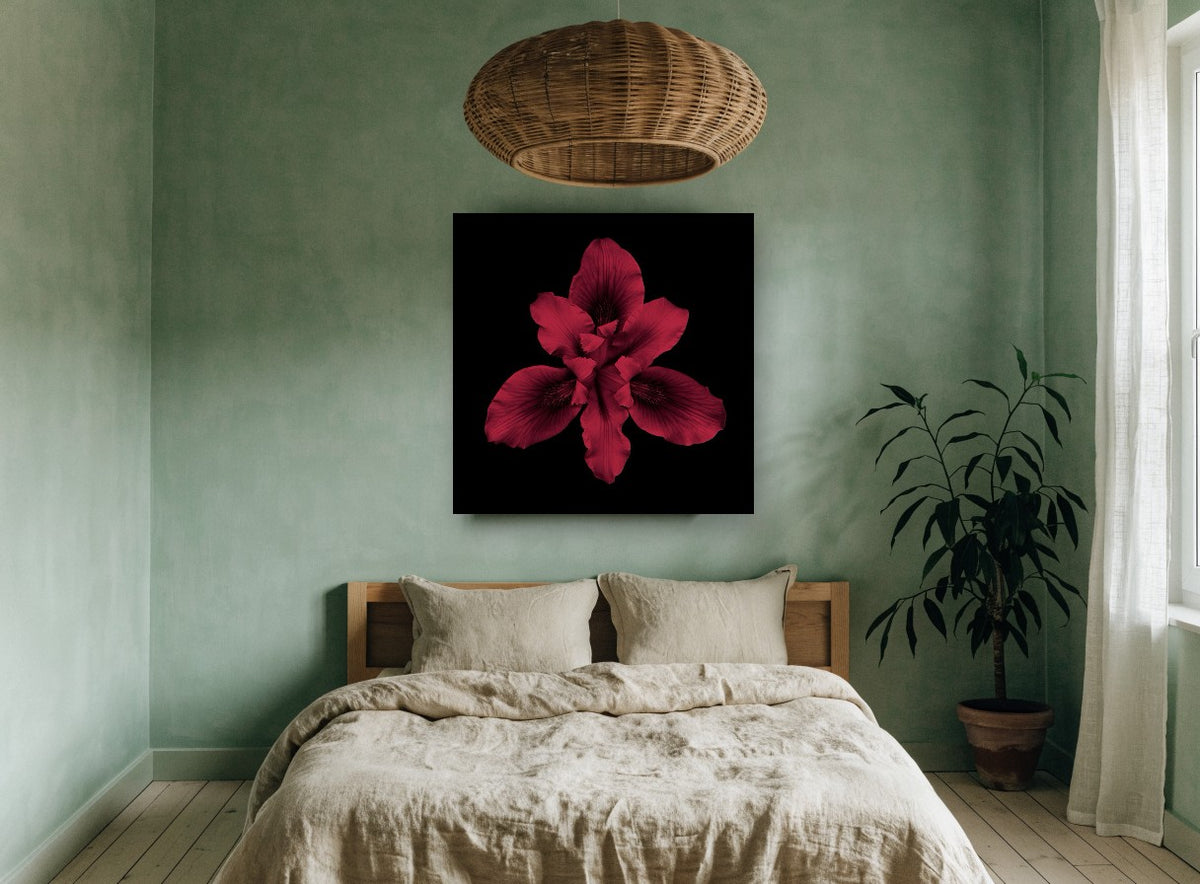 Crimson Iris Bloom floral canvas print on the wall of a bedroom