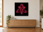 Crimson Iris Bloom floral canvas print on the wall of a living room above a sideboard