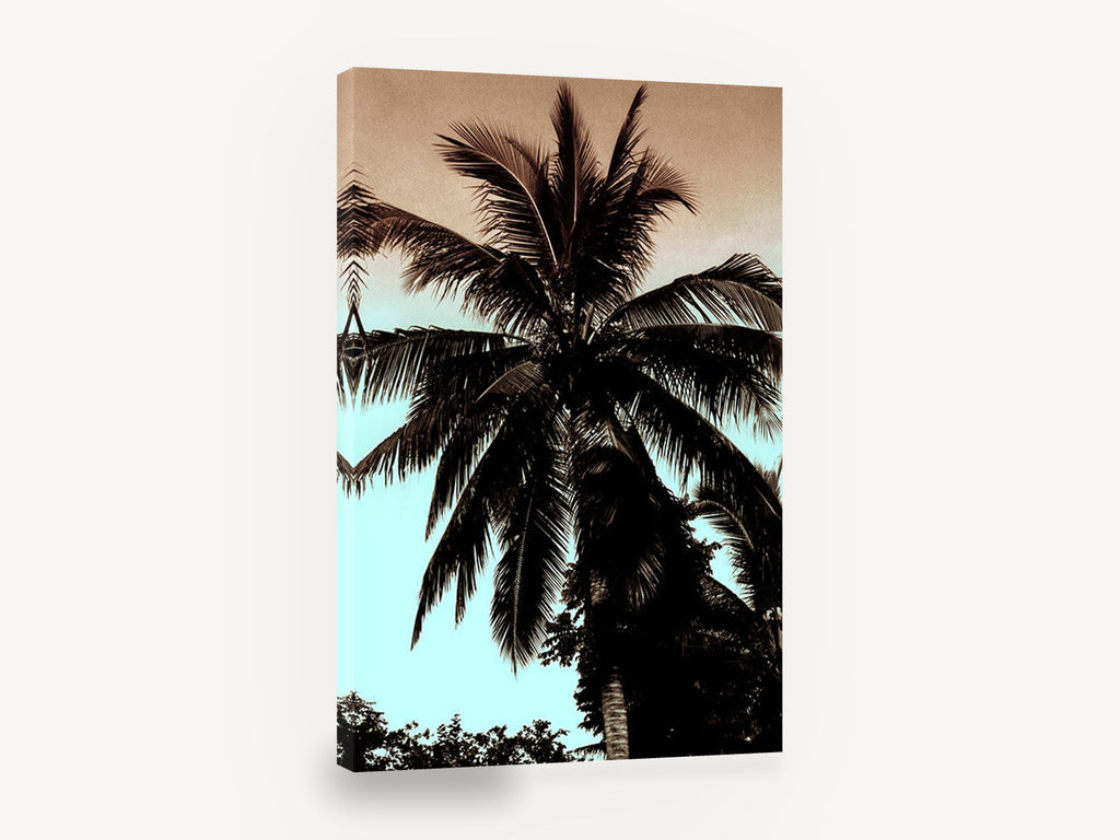 Palm Against Dusk, coconut palm silhouette tropical photograph, floral canvas wall art print ready to hang