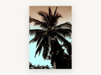 Palm Against Dusk, floral canvas wall art print, front view