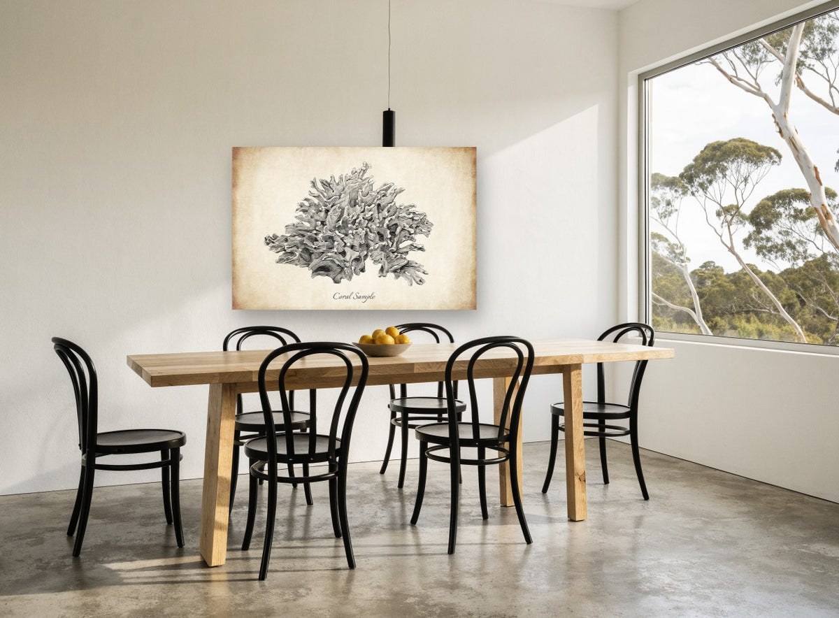 Sepia Coral Study coastal canvas print on the wall of a dining room