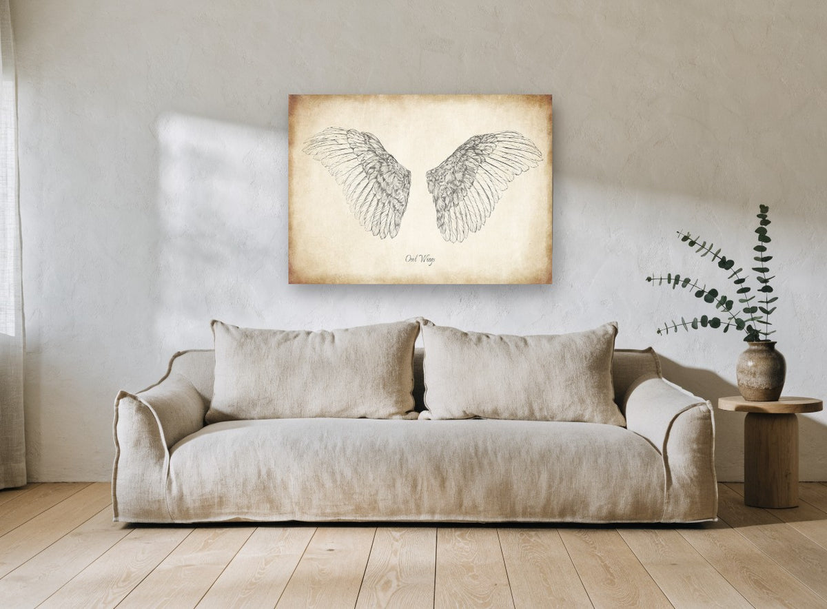 Spread Owl Wings animal canvas print on the wall of a living room