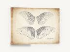 Four Feathered Wings, vintage bird wing illustration, animal canvas wall art print ready to hang