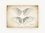 Four Feathered Wings, vintage bird wing illustration, animal canvas wall art print, front view