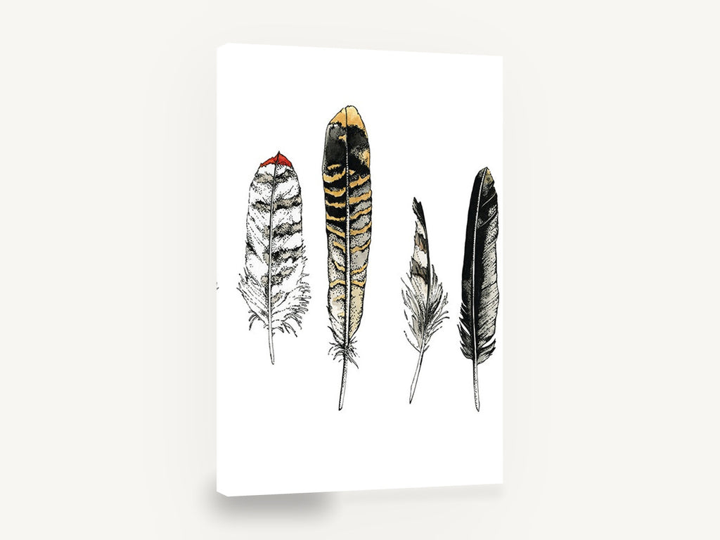 Four Feather Study, feather illustration watercolour ink, animal canvas wall art print ready to hang