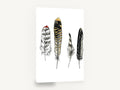 Four Feather Study, feather illustration watercolour ink, animal canvas wall art print ready to hang