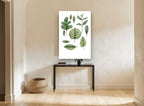 Leaf Study Collection floral canvas print on the wall of a hallway