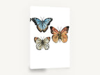 Three Butterfly Study, vintage butterfly ink illustration, animal canvas wall art print ready to hang