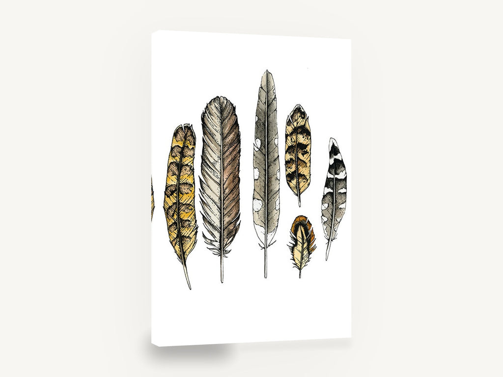 Six Owl Feathers, feather study ink watercolour illustration, animal canvas wall art print ready to hang