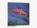 Red Car in Lavender, red vintage car lavender field photograph, floral canvas wall art print ready to hang