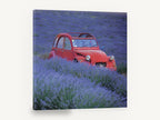 Red Car in Lavender, red vintage car lavender field photograph, floral canvas wall art print ready to hang